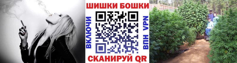 APVP Грязовец