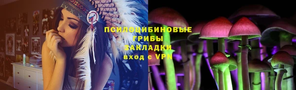винт Алексеевка