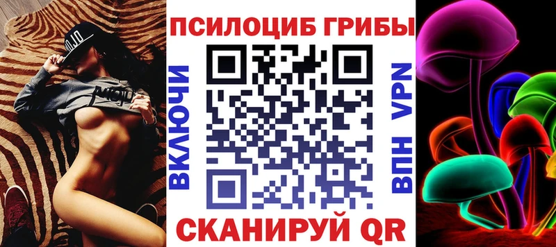 Купить  Грязовец  Галлюциногенные грибы Psilocybine cubensis 