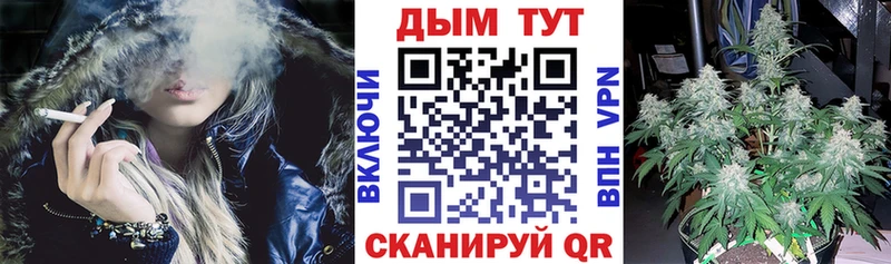 Купить где  Грязовец  Канабис White Widow 