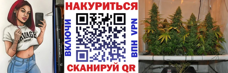 Марихуана гибрид Грязовец